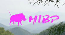 2020HIBP耐力系列赛龙游站 ｜ 官方视频