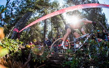 尼诺下坡定乾坤：2015 UCI 山地世锦赛XCO决赛