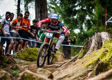 Aaron Gwin，2015年度最佳山地男车手
