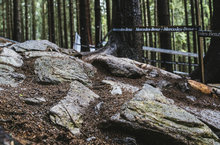 XC赛道之王 – 2019UCI世界杯XCO捷克站赛道预览
