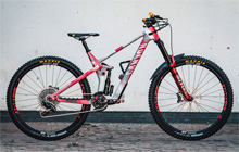 弗洛里安2019赛季EWS战车：29寸Canyon Strive CFR