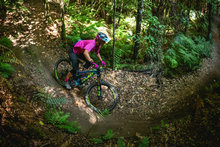 2020 Crankworx罗托鲁瓦单车节 - Toa Enduro耐力赛
