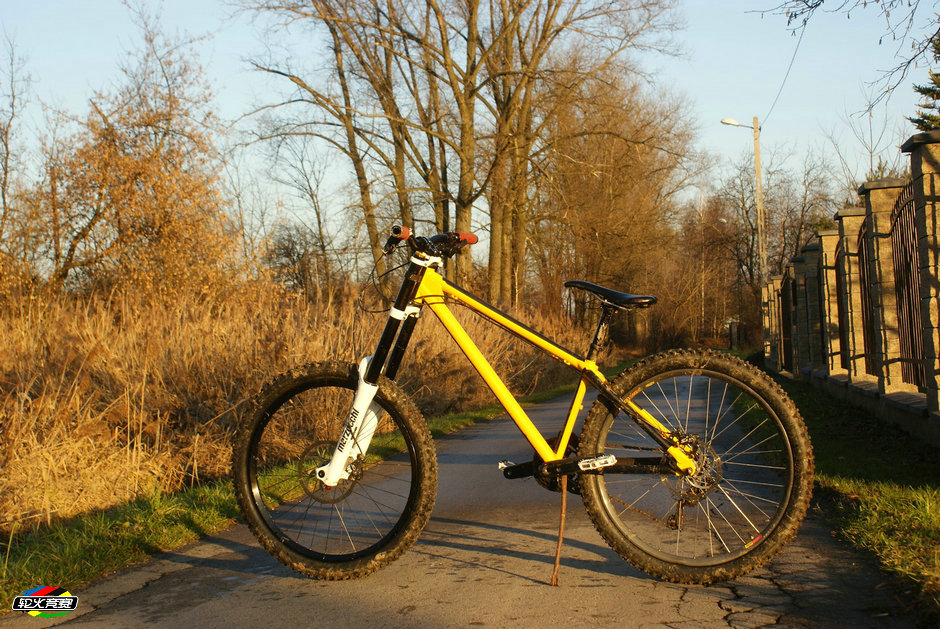 05 大黄蜂：NS Bikes Surge硬尾自由骑车型