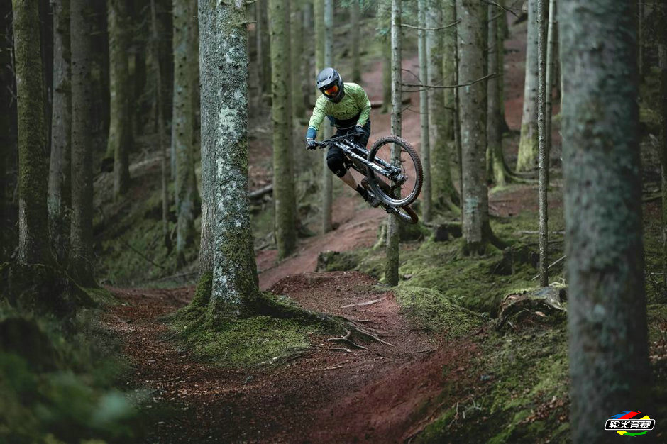 VOTEC-VD-Downhill-low-19 VOTEC-VD-Downhill-low-19