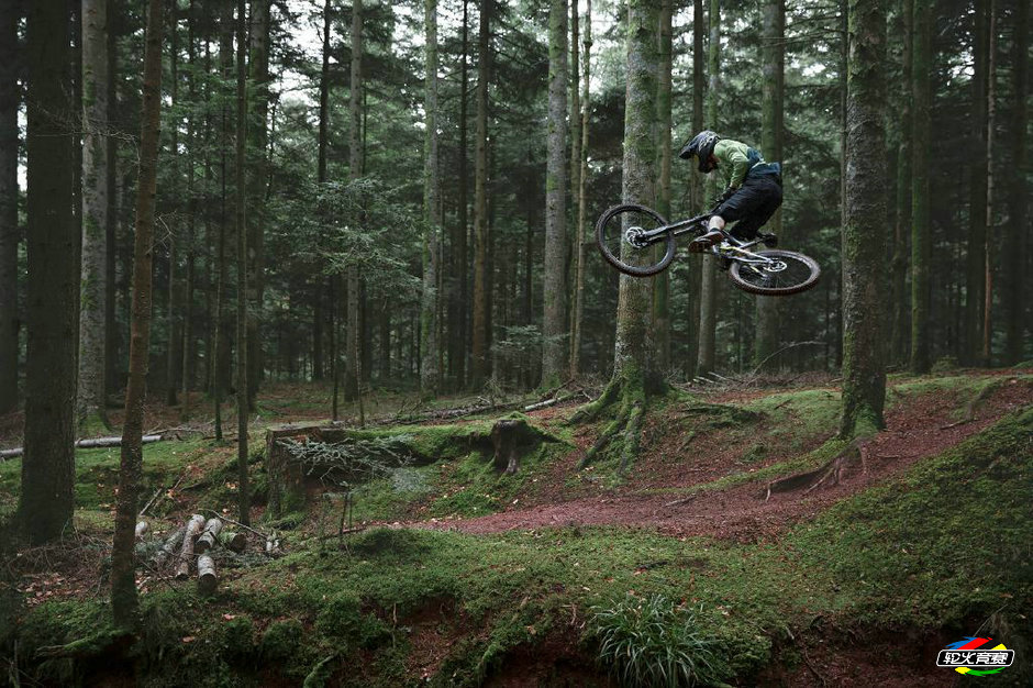 VOTEC-VD-Downhill-low-20