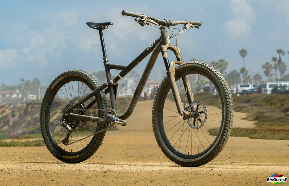 Digit-BetaMtb-ChrisWellhausen-01