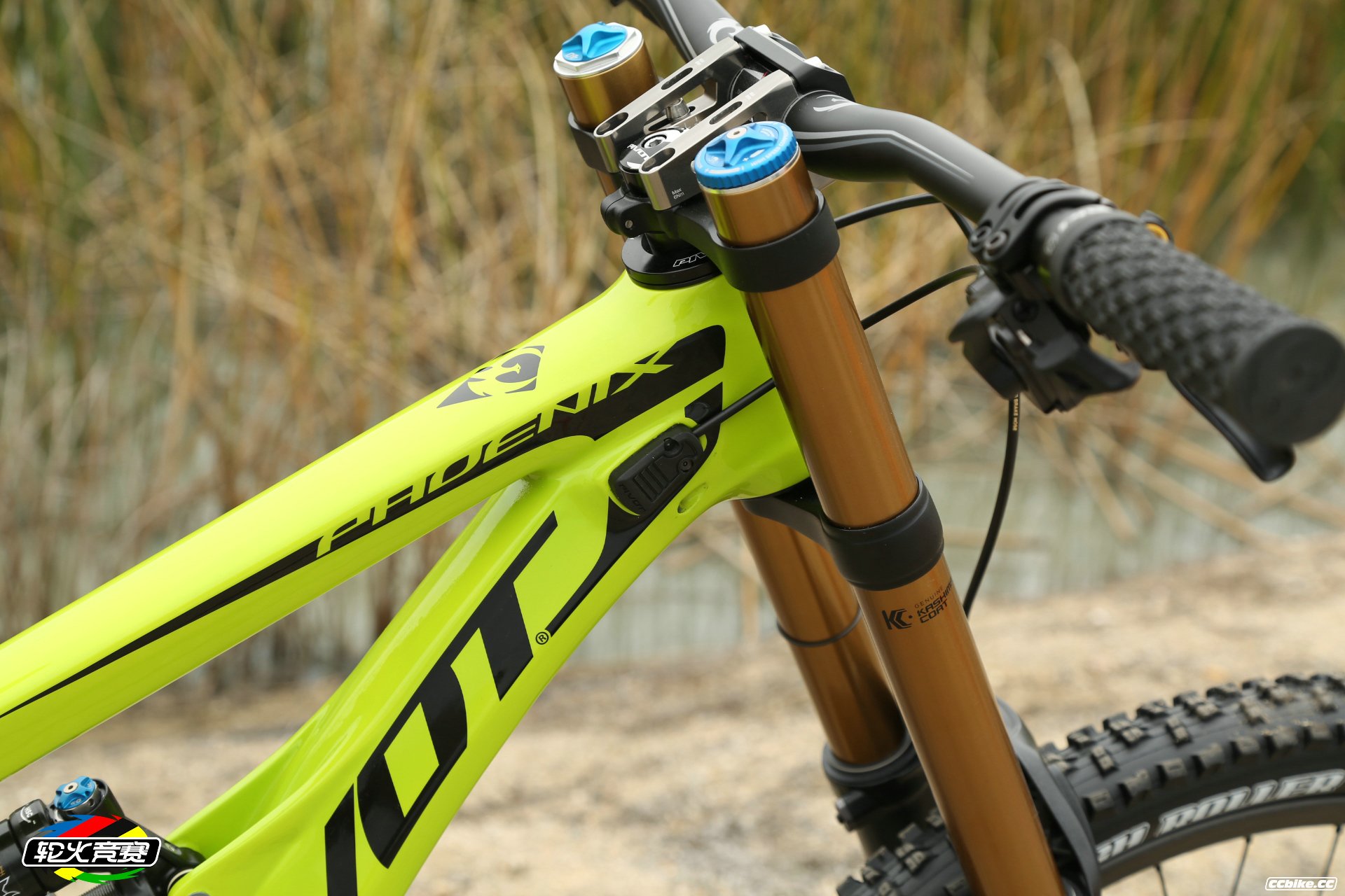 fork-bumpers